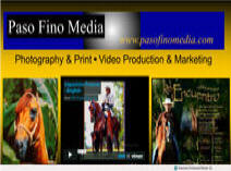 Paso Fino Media